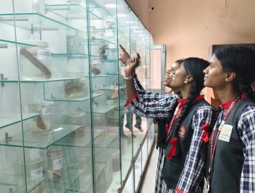 CLASS 12 - EXPOSURE VISIT TO BENGAL SAFARI - 2026