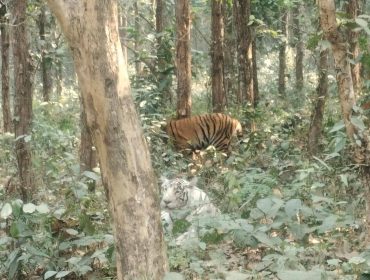 CLASS 8 - EXPOSURE VISIT TO BENGAL SAFARI - 2026