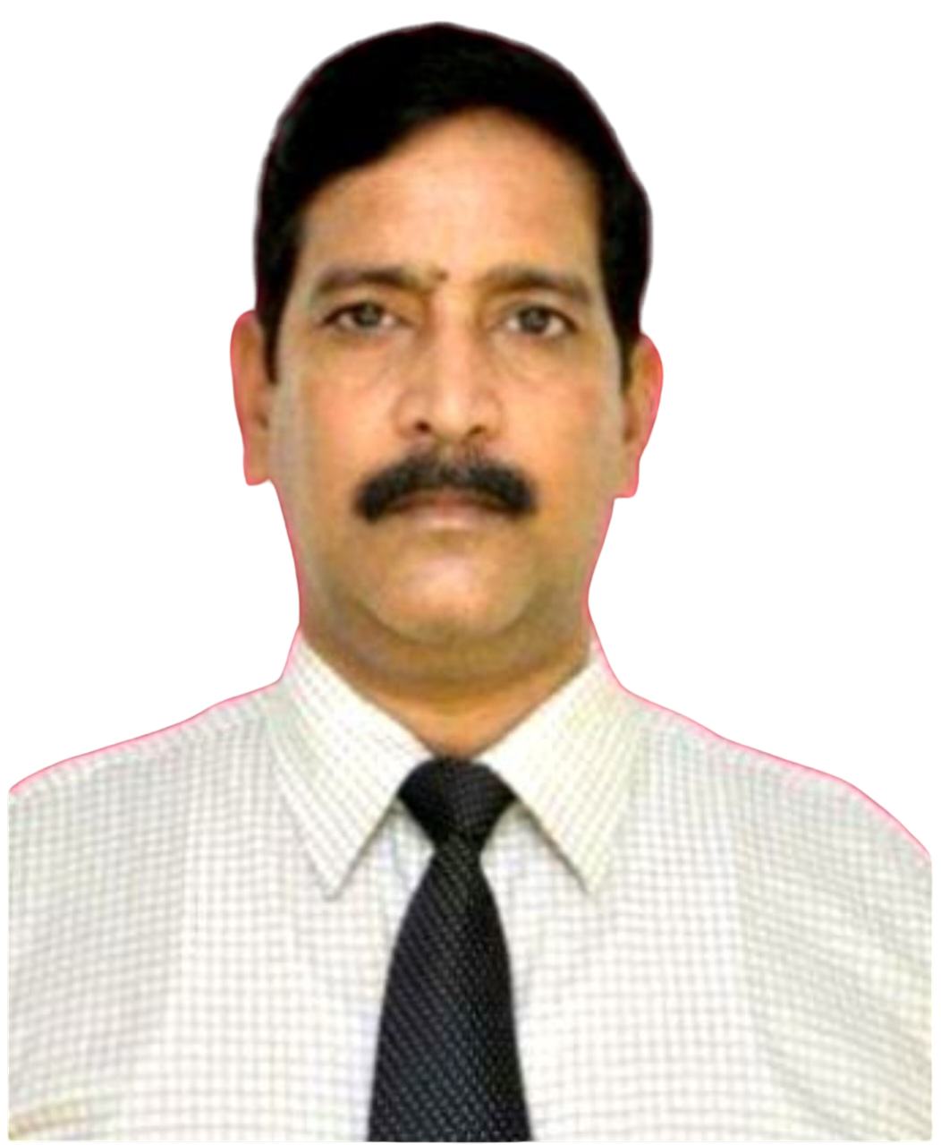 DEPUTY COMMISSIONER