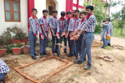 Maths Garden Activity 2026
