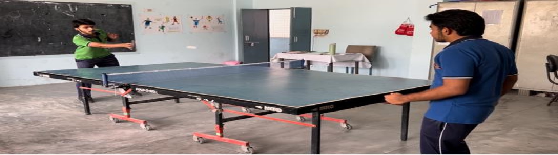 Sports Table Tennis