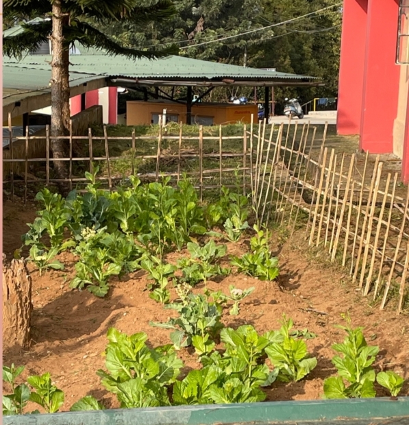 Kitchen Garden