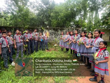 PLANTATION DRIVE- 2026-27
