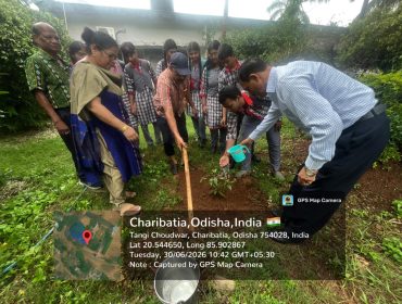 PLANTATION DRIVE- 2026-27