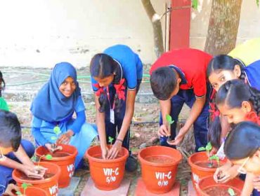 वृक्षारोपण अभियान