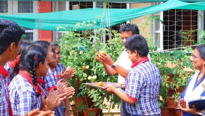 वनस्पति