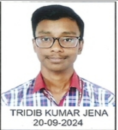 TRIDIB KUMAR JENA