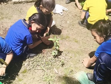 ecoclub6