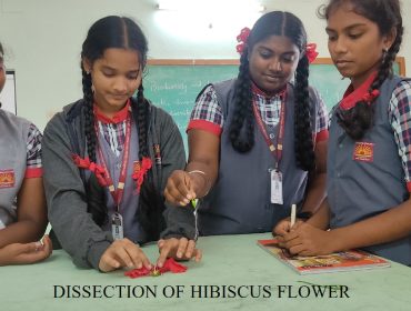 गुड़हल के फूल का विच्छेदन