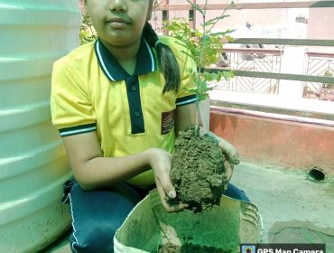 EK PED MA KE NAAM 2.0