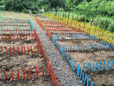 Bagless Day 12.08 (2)