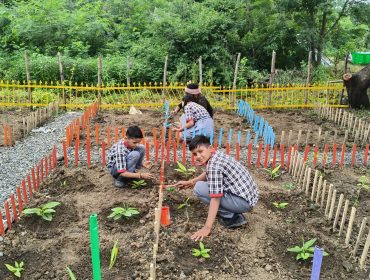 Bagless Day 12.08 (10)