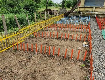 Bagless Day 12.08 (5)