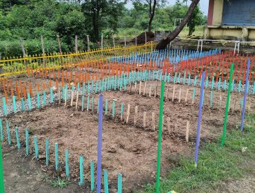 Bagless Day 12.08 (3)