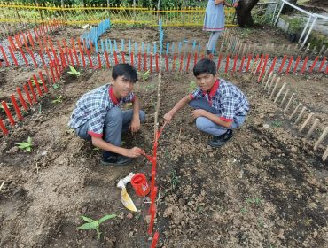 Bagless Day 12.08 (14)