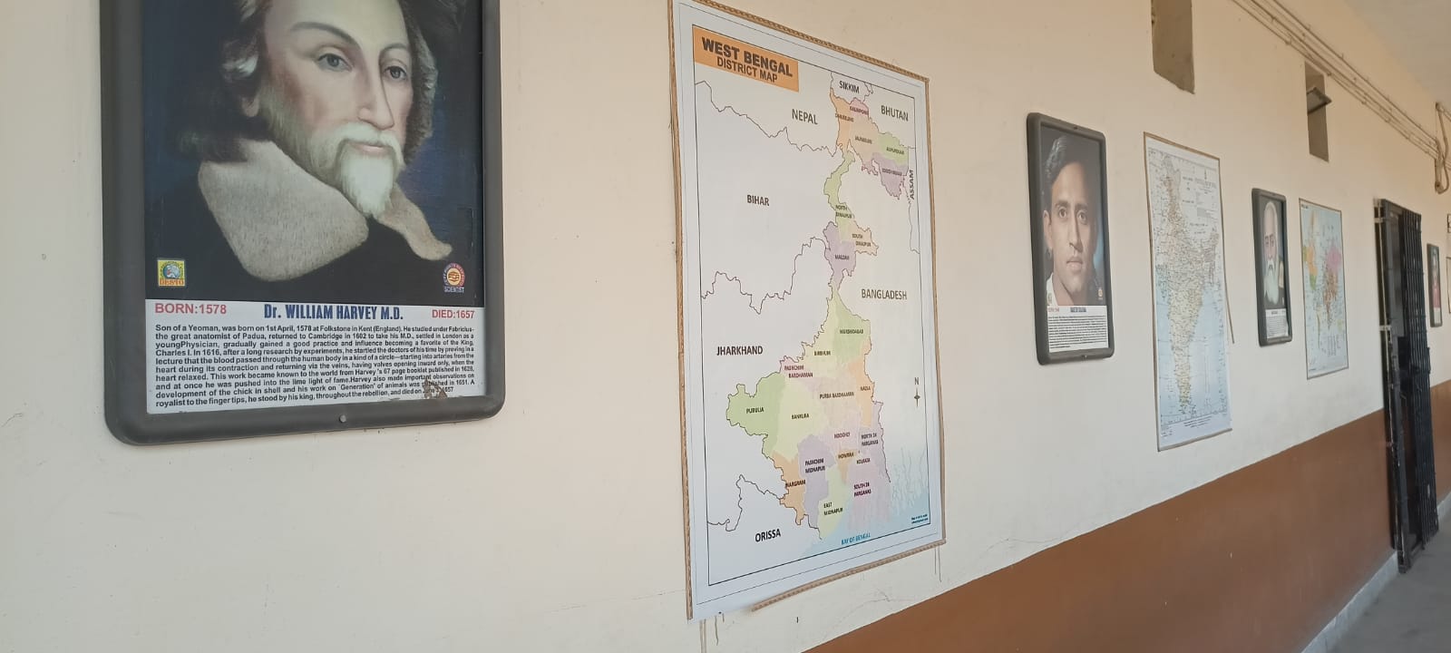 Building BaLA Initiatives