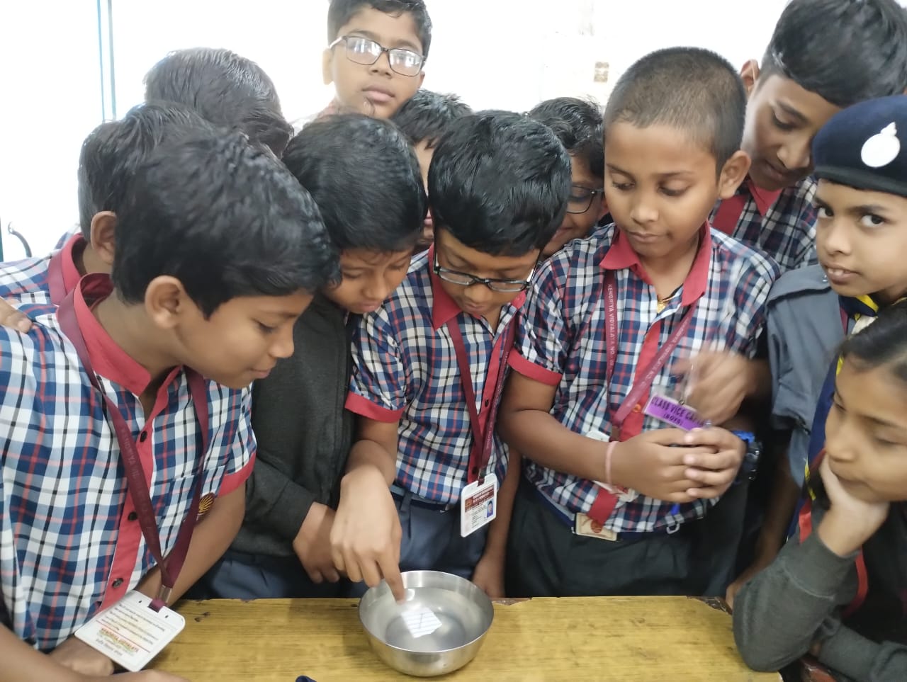 लैब्स - भौतिकी/रसायन विज्ञान/जीवविज्ञान