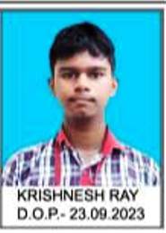 Krishnesh Ray