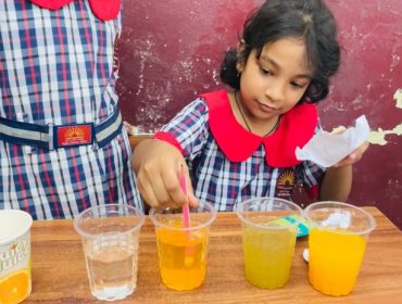 प्राथमिक शिक्षा