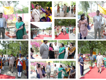 collage4 (1)