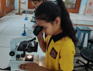Biology Lab Practical