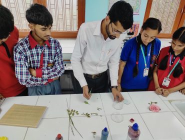 Biology Lab Practical