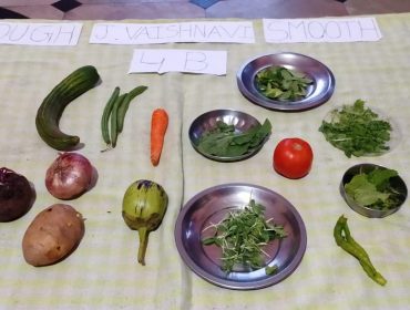 funday activity