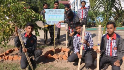 ड्रिप सिंचाई