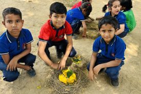 Nest Making