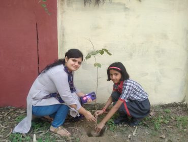 GREEN SCHOOL (11)