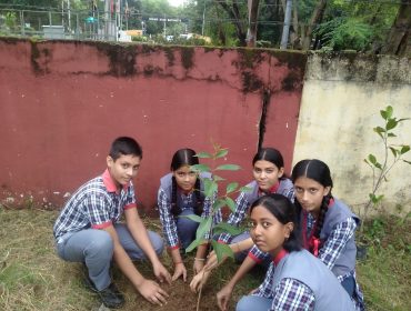 GREEN SCHOOL (9)