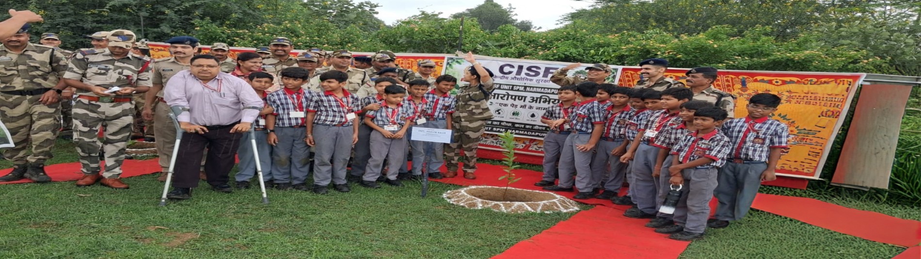 Glimpses of the plantation program