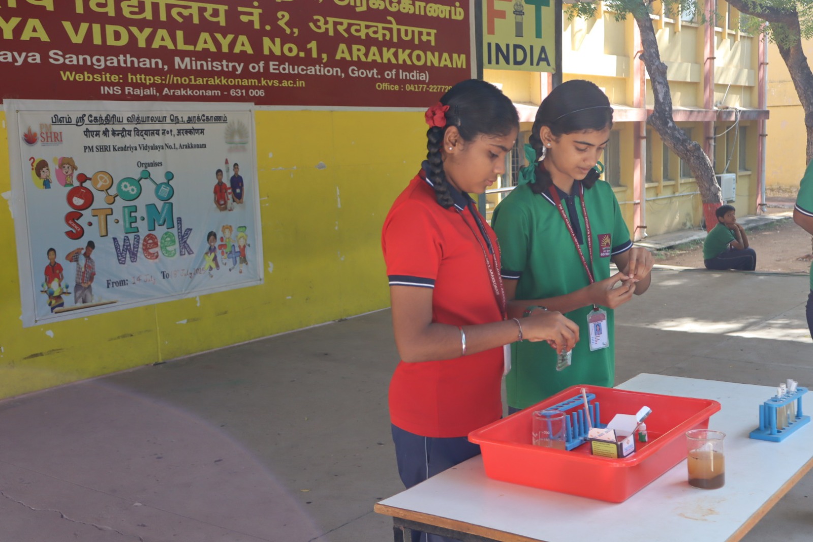 Stem week photo
