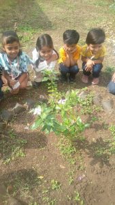 WhatsApp Image 2026-09-11 at 1.46.01 PM