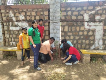 world environment day 2024