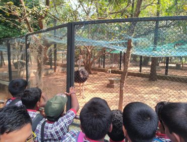 Primary excursion