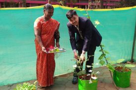 Kitchen garden