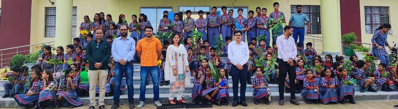 Plantation Programme