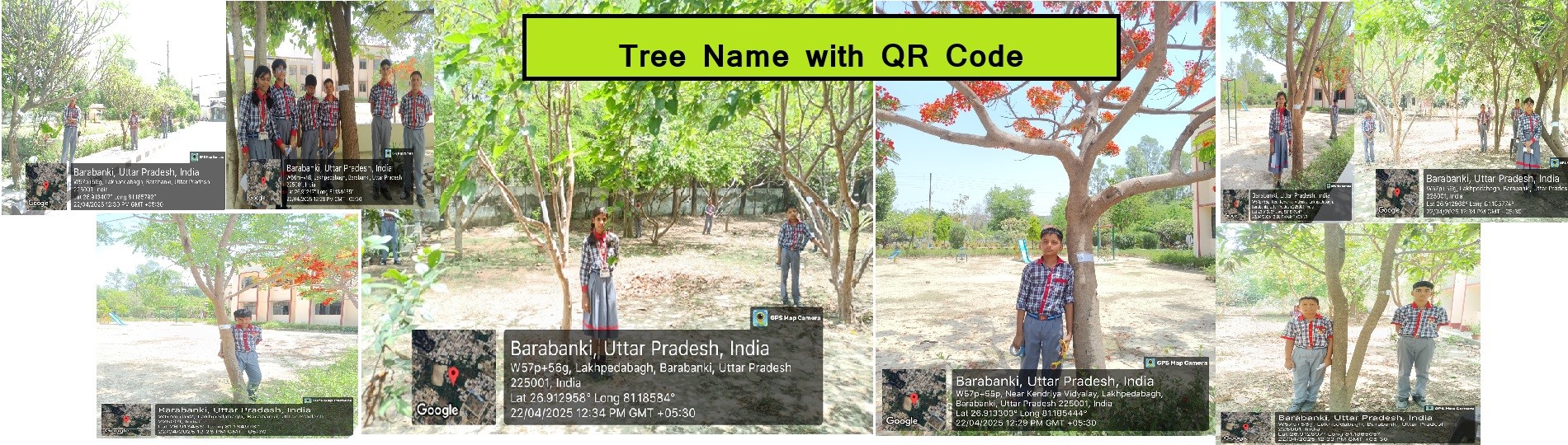Tree Name with QR Code