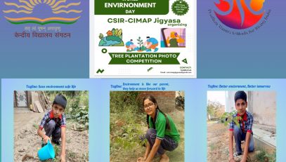 Tree Plantation photo competition organised by CSIR CIMAP Jigyasa
