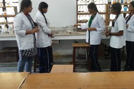 Science Lab activity