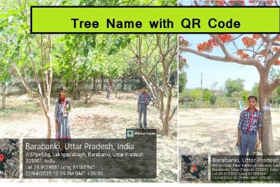 Tree Name with QR Code