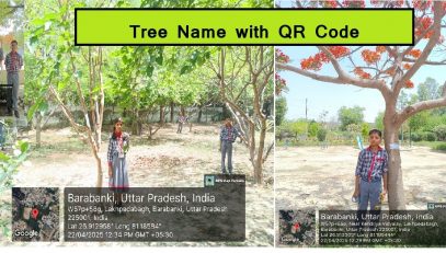 Tree Name with QR Code