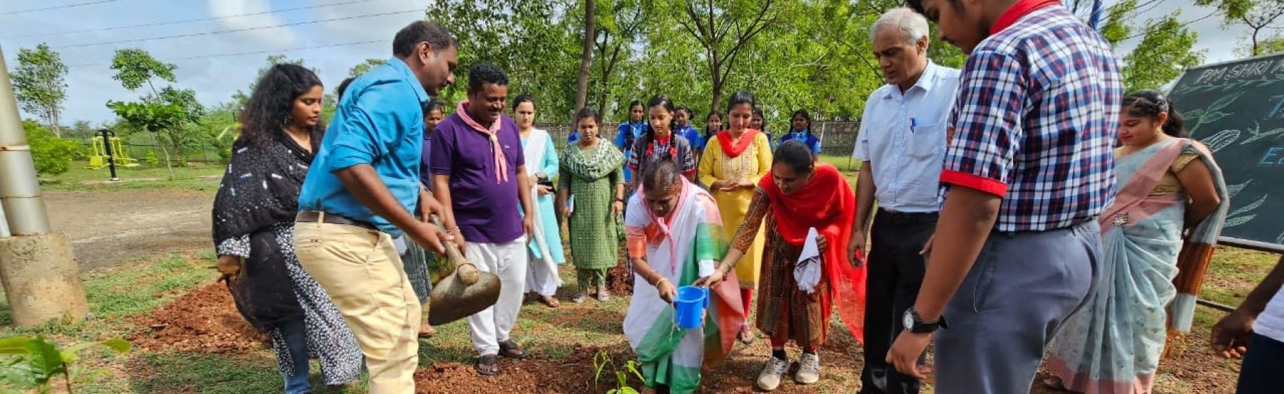 TREE PLANTATION