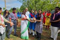 Tree Plantation