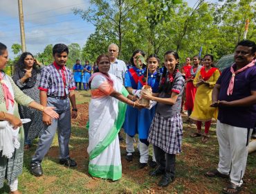 Tree Plantation