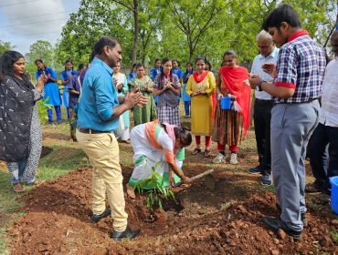 TREE PLANTATION