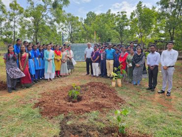 TREE PLANTATION