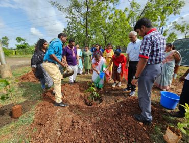 TREE PLANTATION