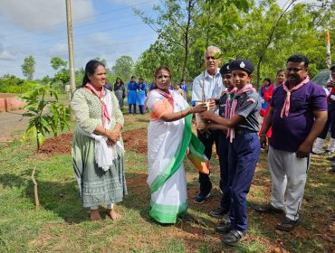 TREE PLANTATION